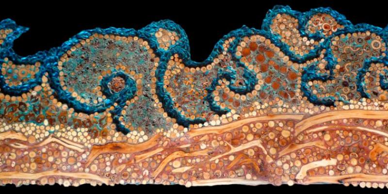 sento il tuo profumo!