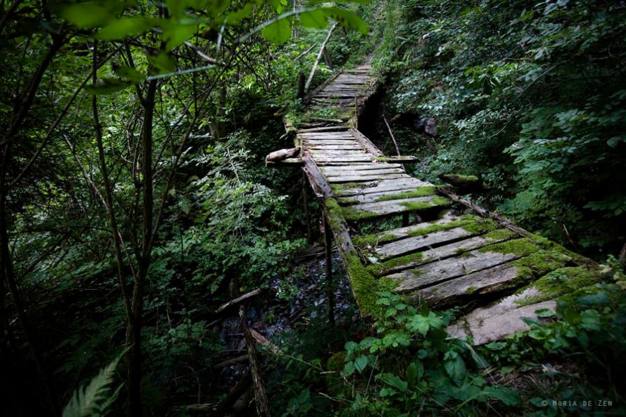 Sidelight #9 Sidelight #9