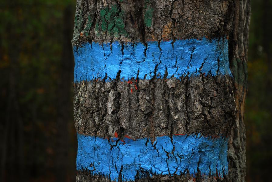 T 11_39 On what day of the year are the shadows the shortest where you live? T 11_39 On what day of the year are the shadows the shortest where you live?