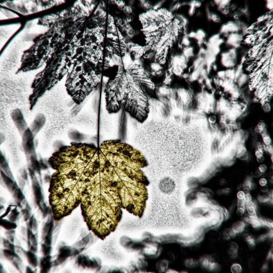 Ciò che invecchia non muore mai 