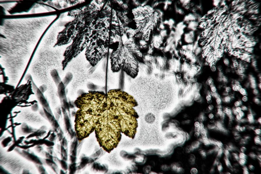 Ciò che invecchia non muore mai 