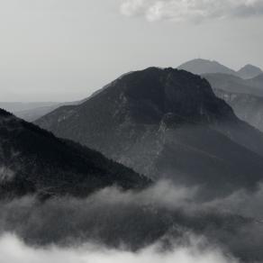 MORE THAN EVER Buffavento 44