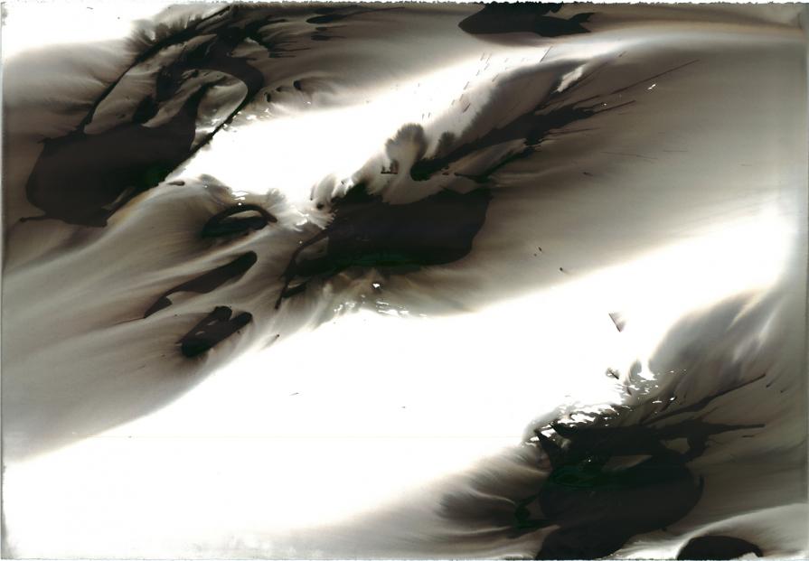 My private area of the protected landscape