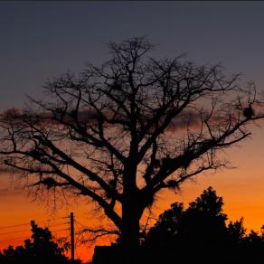 Tramonto Vinales ( Cuba )