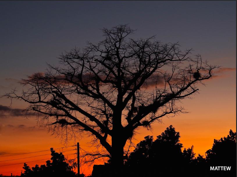Tramonto Vinales ( Cuba )
