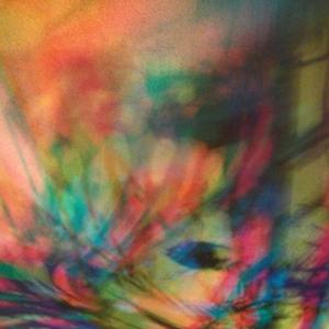 I colori della biodiversità -2015