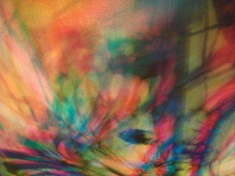 I colori della biodiversità -2015