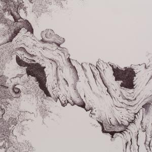 a U L I V O o f R 7 ®