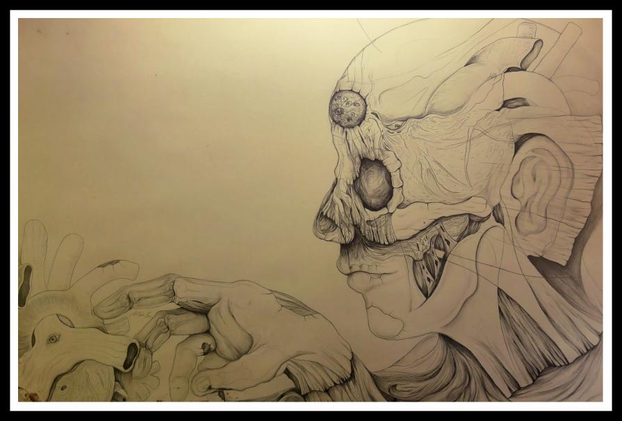 Vision Beyond Passion Vision Beyond Passion