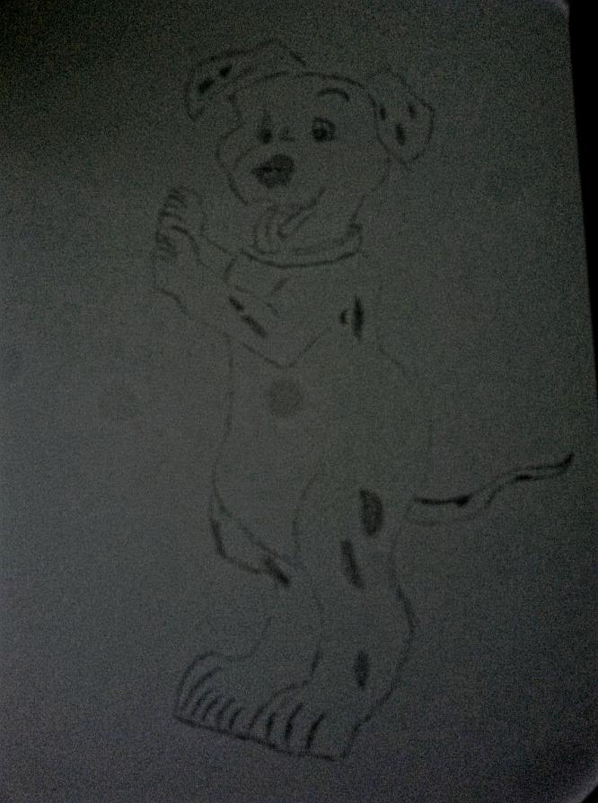 CUCCIOLO DALMATA quanta tenerezza