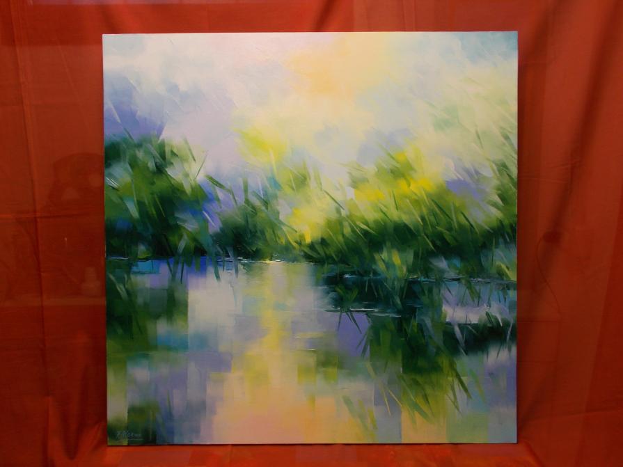 FIUME ADDA :MAGIA DI RIFLESSI