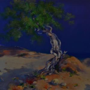 Il silenzio della coscienza Il silenzio della coscienza