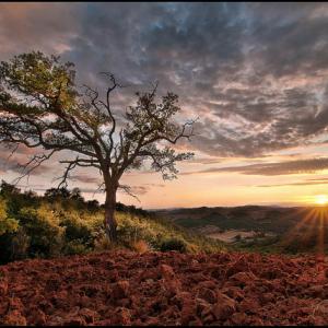 VINCITORI CONCORSO CREATIVI UNDER 30