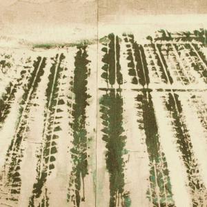 Food culture & slow art