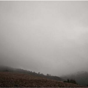 LightRoom: Chi vuol esser lieto, sia: / di doman non c'è certezza. LightRoom: Chi vuol esser lieto, sia: / di doman non c'è certezza.