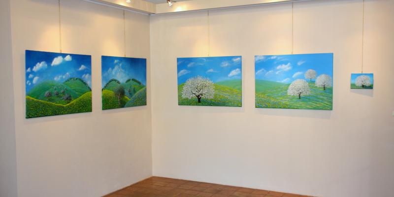 the sunflower the sunflower