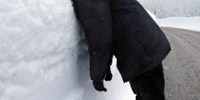 pagine bianche d'autore pagine bianche d'autore