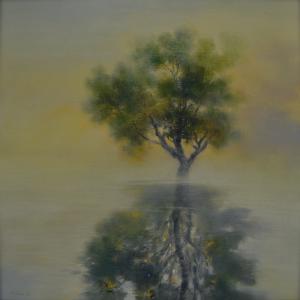 Il silenzio della coscienza Il silenzio della coscienza