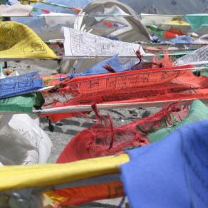 "Sottopelle #01" Ldk05