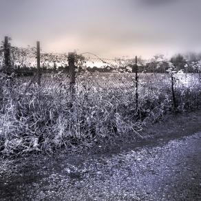 ARBE GARBE (12 -37.30)