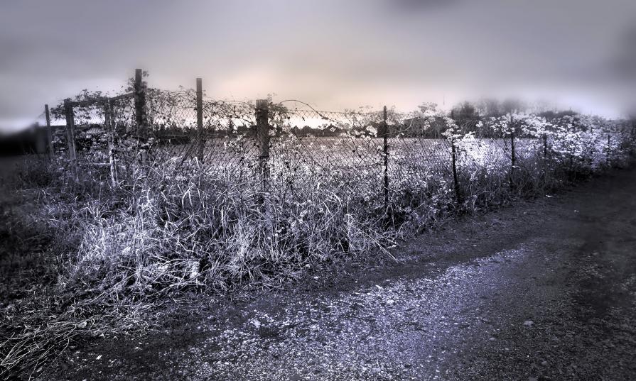 ARBE GARBE (12 -37.30) ARBE GARBE (12 -37.30)