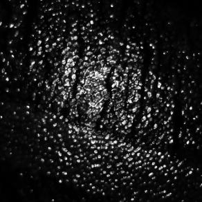 da Spirit & Matter  i Neri # 2 