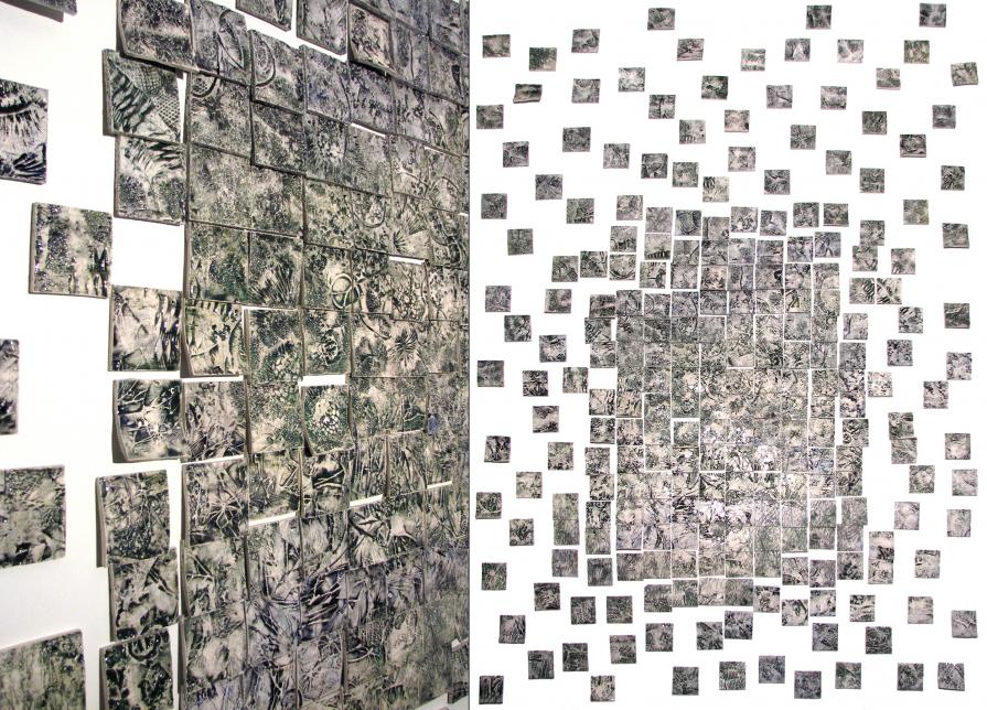 Naturalis Historia Naturalis Historia