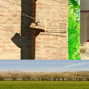 time present and time past