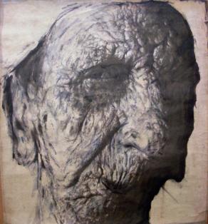 le rughe sono punti geografici disegnati dal passato affinché possa il futuro approdare sul porto de