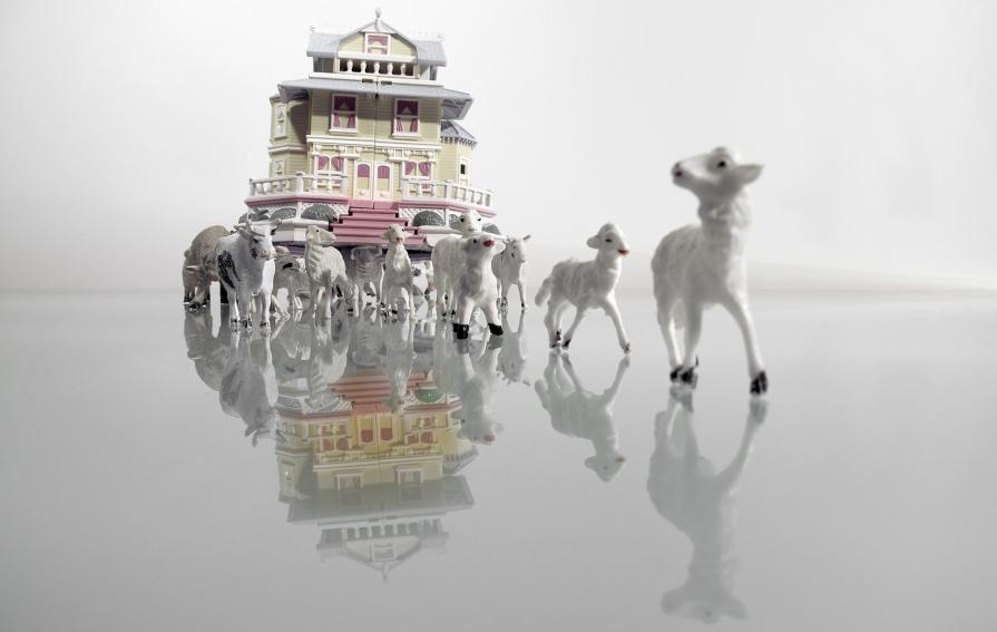 La Primavera di Quirra _ Transumanza La Primavera di Quirra _ Transumanza