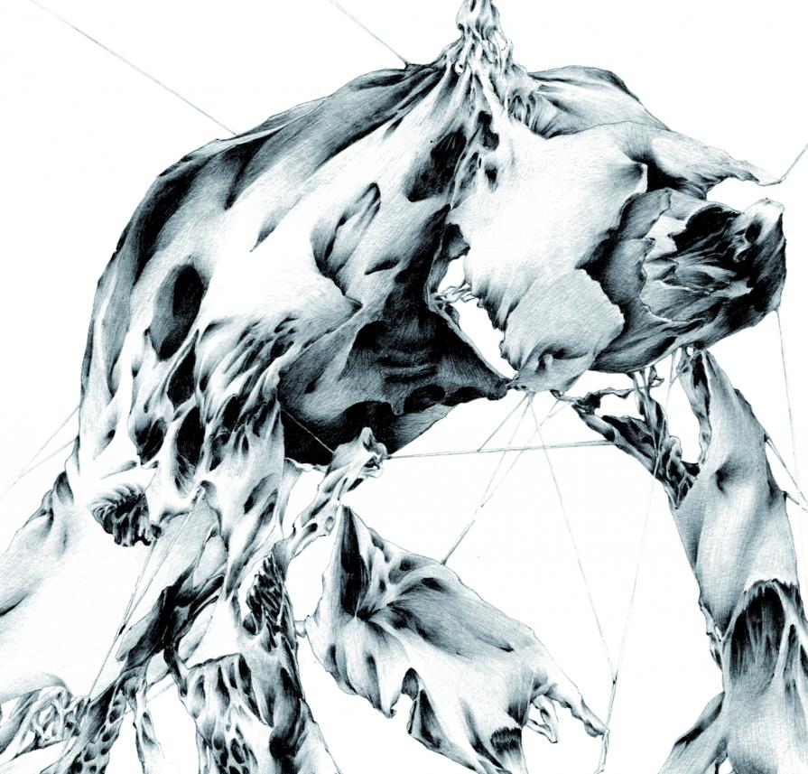 vincolo - particolare