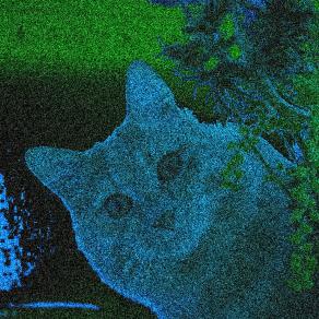 ..." ED ORA E' ARRIVATA LEI !!!...