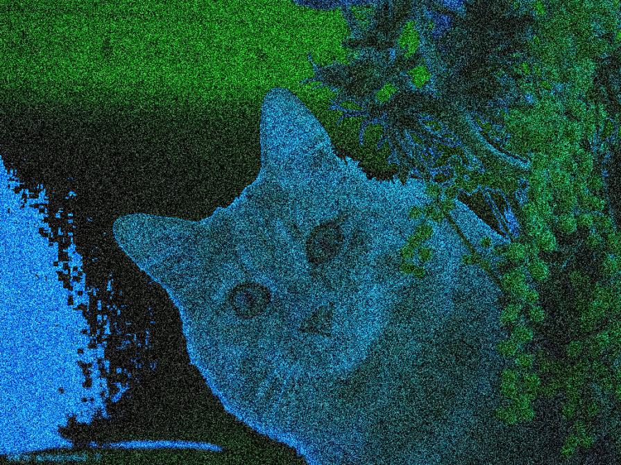 ..." ED ORA E' ARRIVATA LEI !!!...