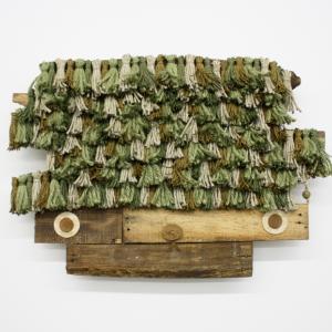 METASEQUOIA •AKEBONOSUGI 