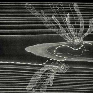 Private Craters Mapping