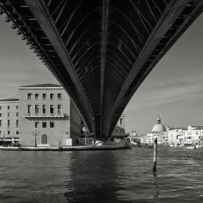 #16062927, Ponte di Santiago Calatrava, Venezia, 2016