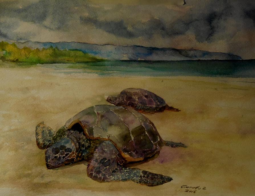 depositi di stagione