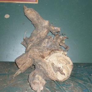 il legno originale il legno originale