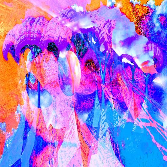 Dopo il verbo “amare” il verbo “aiutare” è il più bello del mondo...!!!