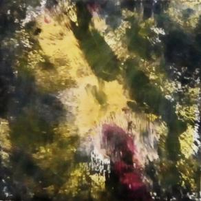 Gorilla super eccitato.