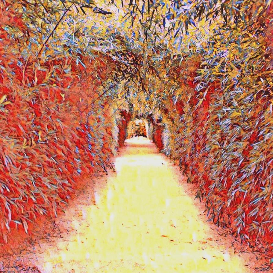 ...Vi dò tre consigli: ascoltate...leggete... piantate alberi...