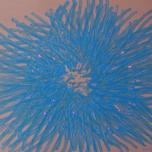 NUNZIO FIGLIOLINI Cromie dall'interno