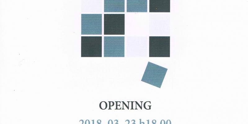 Maristella Angeli parteciperà al progetto MOSAIC a Budapest