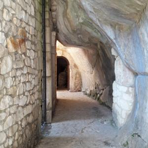  CELESTINO V BETWEEN ART AND EREMITAGE- Edited by Roberto Cumbo and Laura Mocci