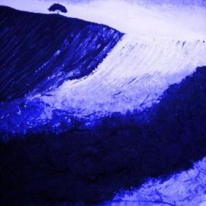 ALBERI , SOLO ALBERI , AMATI ALBERI .