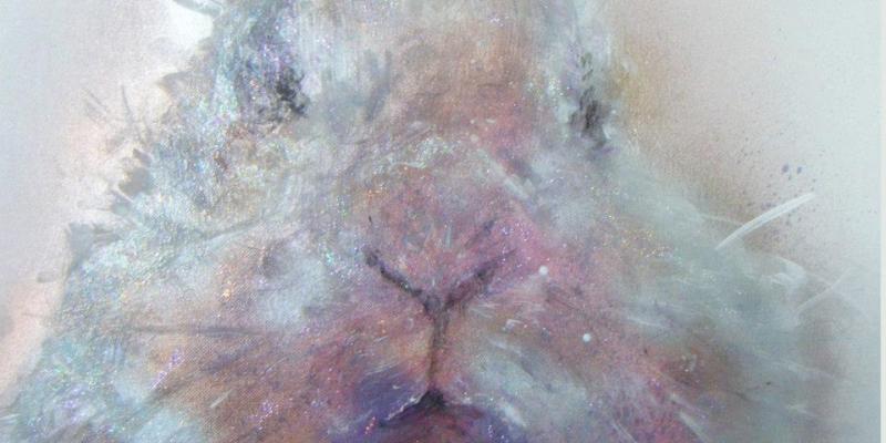 The Plaything Series The Plaything Series