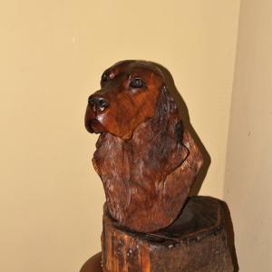 ANIMALS ART al Club La Meridiana di Modena