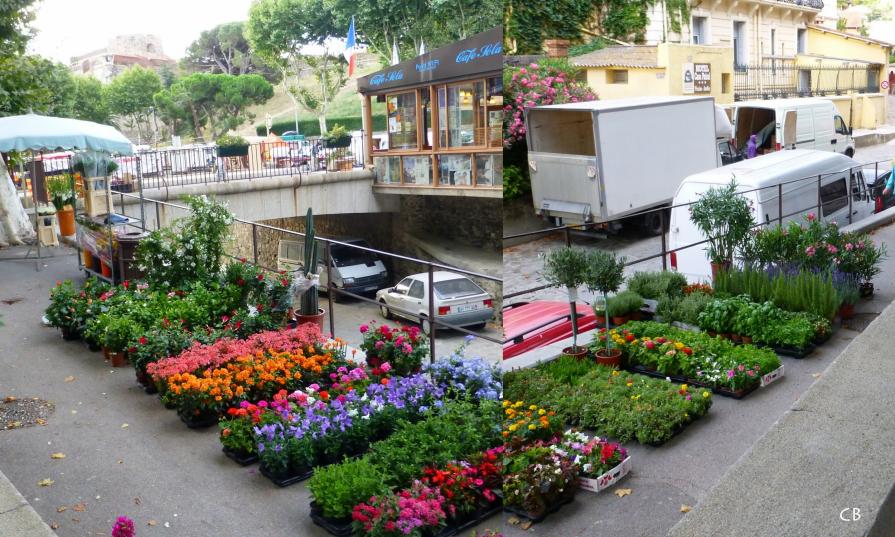 Marché fleuri
