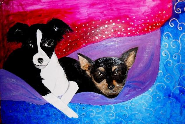 LE MIE CHIHUAHUINE !2012