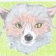 The fox